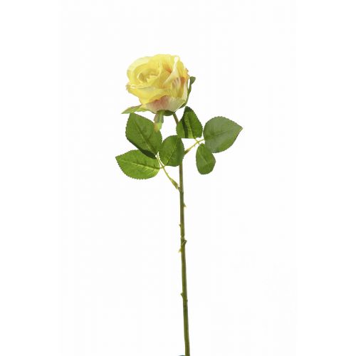 Роза желтая LISA декоративная
